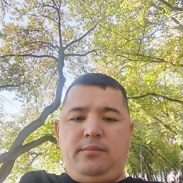 Alek, 29, 