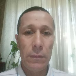 �����, ������, 46 ���