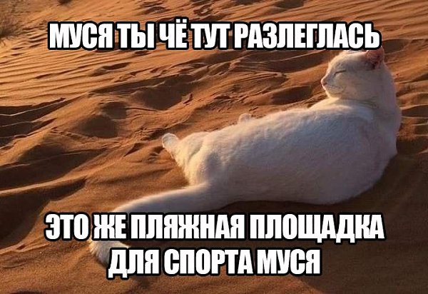 ������ ������ ������� �������� ��� ������� ������� � ������? ���������� � ����������! � ������ ... - 3