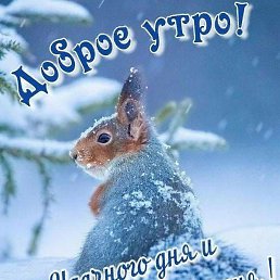 ��������, ������, 64 ����