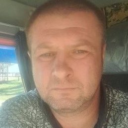 �������, �������, 46 ���