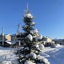 ������ � ����� �� ������� �2026 _ ���� _�������