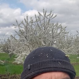 ���� �������, ������, 45 ��� - ��������� 20 ������ 2026