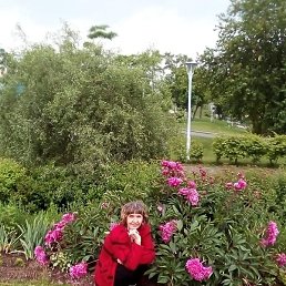 ����, �������, 58 ���