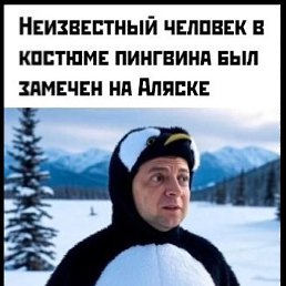 , 54 , 