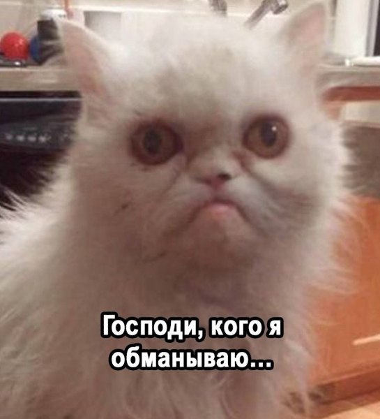 �������� �������� - 14 ������� 2026 � 22:50 - 3