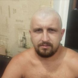, 37, 