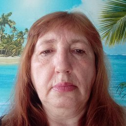 ����, �����������, 67 ���