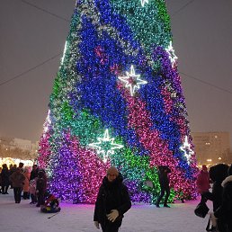 ��������,2024�