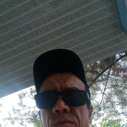 , 35, 