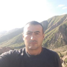 , 39, 