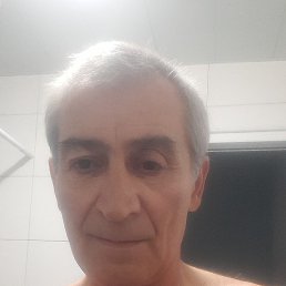 , 61 , 