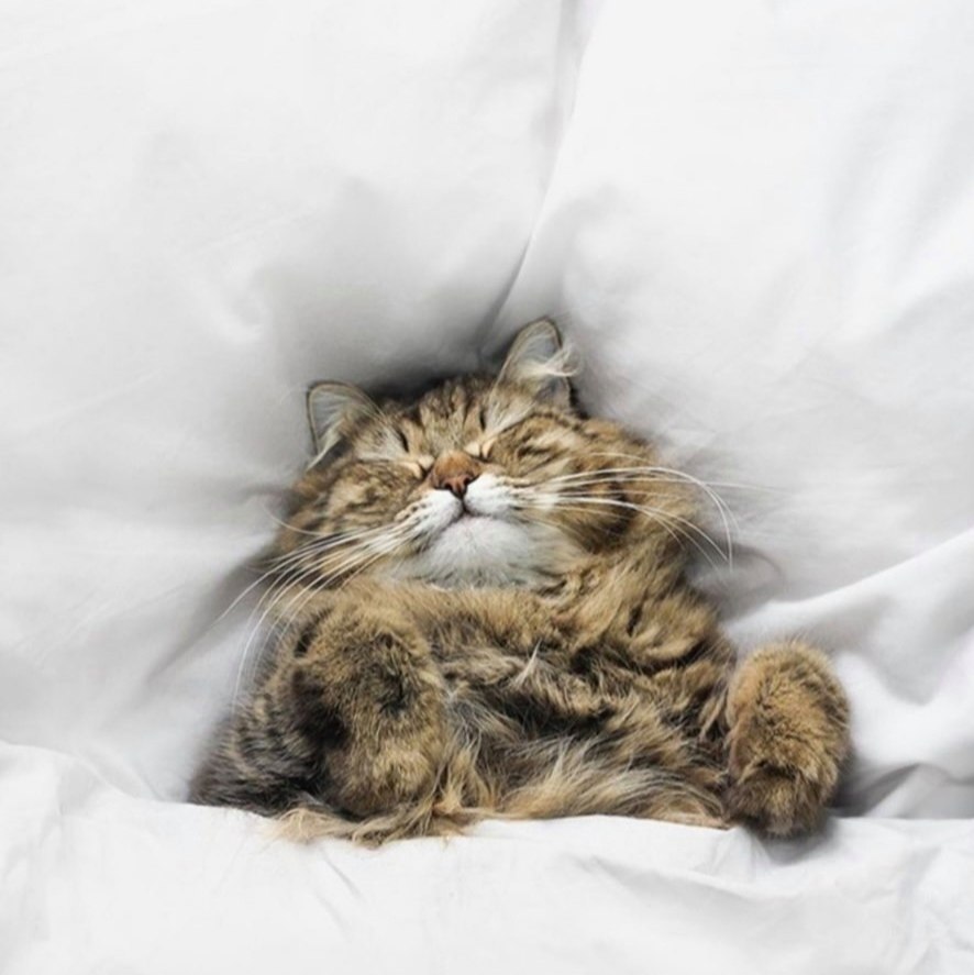 — Я веду прямой репортаж из кровати. Здесь реально круто! - 4