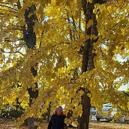 ����������, ������, 65 ���