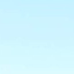 �����, ������, 51 ���