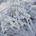 ���� �����, ������, 53 ���� - ��������� 25 ������ 2025 � ������ ���� ����������