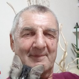 , , 67 