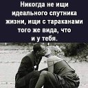 ���� ������, ��������, 54 ���� - ��������� 16 ������ 2024 � ������ ������ ��������