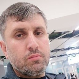 ������, �����������, 41 ���