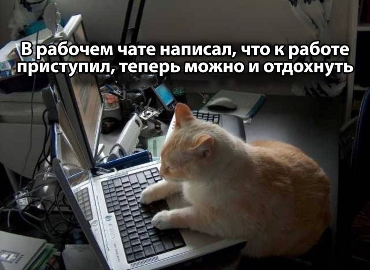 ���� ���������� ������ � ��������: �� ��� ���� �� ������, � ��� ������. ������ ��� ������� ����� ...