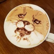 ����������, 35 ���, �����-���������