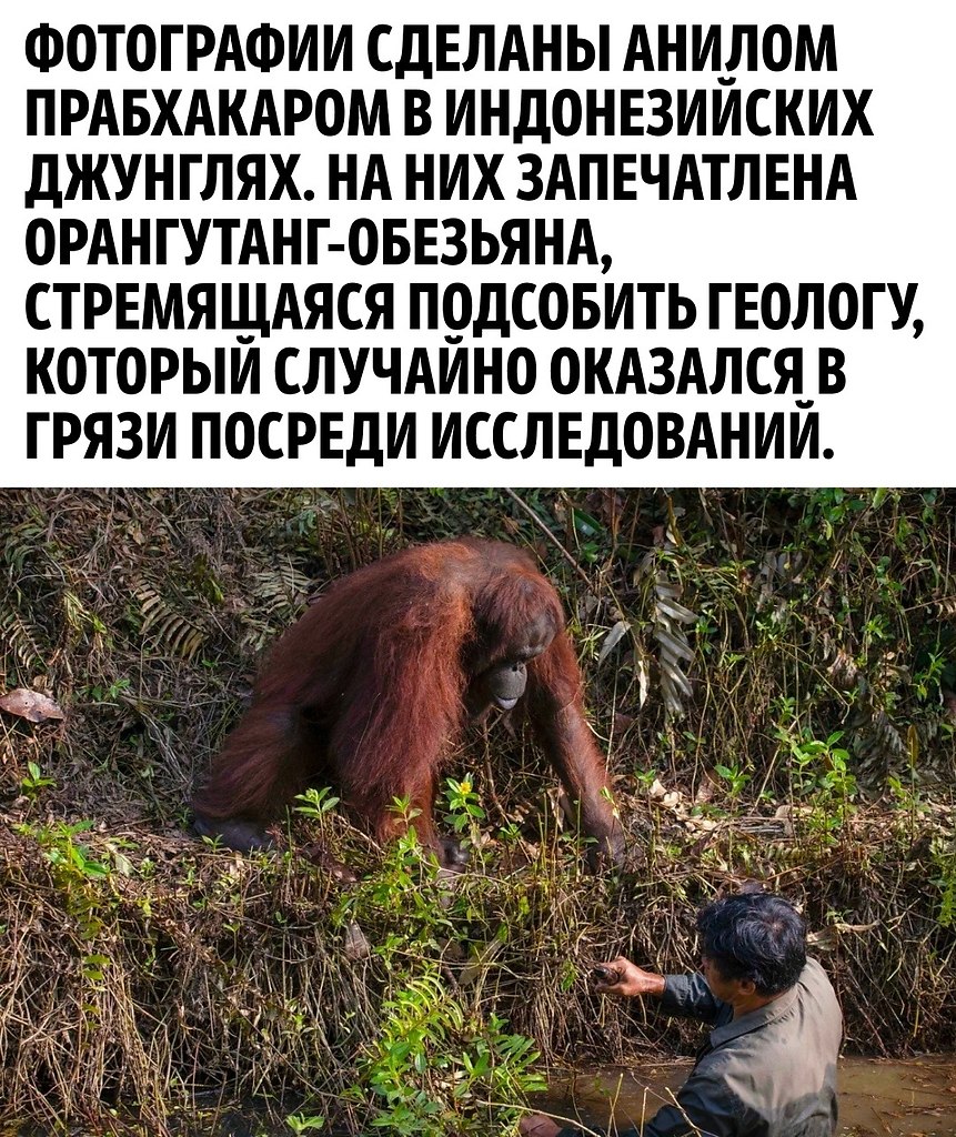      ? - 2