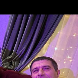 , 37, 