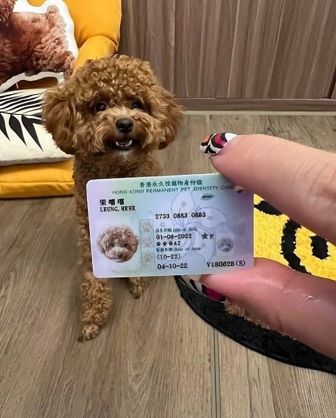 � �������� �������� �������� ������ ������������� ��������. ����� �����, ��� �� ������� �������. - 6