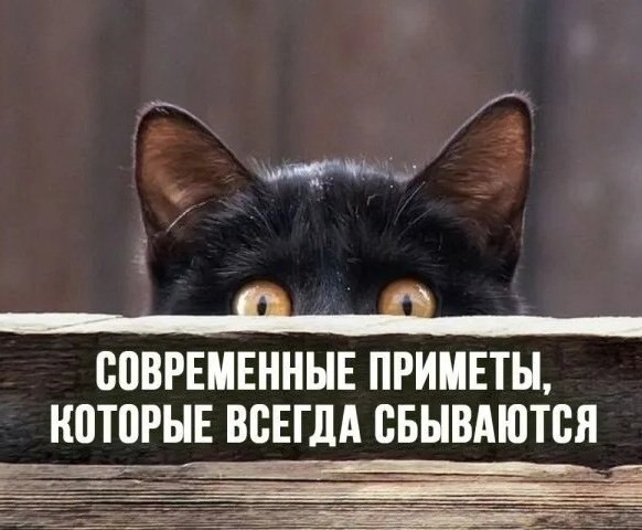 10 �p����, ������� ������ ���������. 1. �����, �������, ������ ���������, ���� ��������. ���� ...