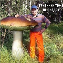 ��������, ������, 39 ���