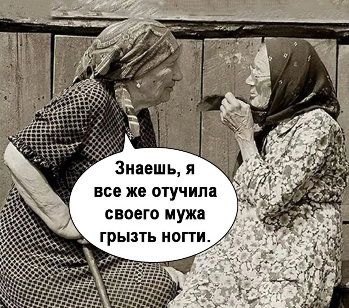 � ���� ��������