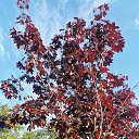 ���� ���������, ������, 37 ��� - ��������� 16 ���� 2025 � ������ ���� ����������