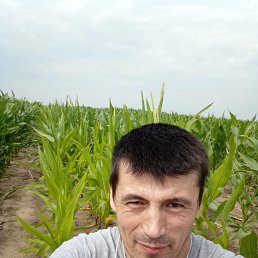 �������, 39 ���, �������