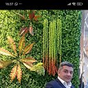 ���� Roma, ����, 41 ��� - ��������� 26 ���� 2025 � ������ ���� ����������