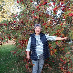  )))), , 65  -  21  2024