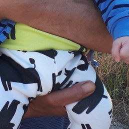 ������, �����������, 66 ���