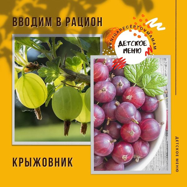 #ВВОДИМ_В_РАЦИОН.С какого возраста можно давать детям? - 5