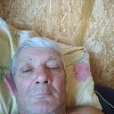 ���� ������, �������, 66 ��� - ��������� 16 ������� 2025 � ������ ���� ����������