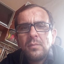 ����, �������, 41 ���