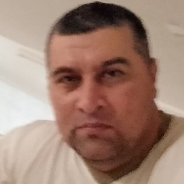 ����, ������, 44 ����