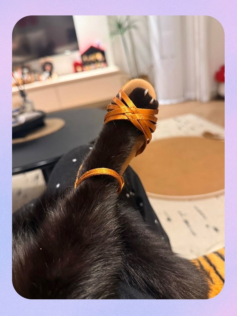 ����� �� ����������, �� ��� ���� ��� �������: - 3