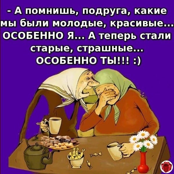 ☆ ☆ - 24  2023  13:30