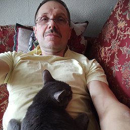 ϸ��, 62 ����, �����