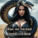 ���� �����, �����, 34 ���� - ��������� 6 ����� 2026 � ������ ���� ����������