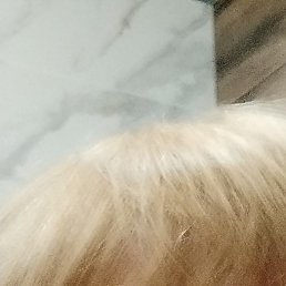 ������, ���, 66 ���