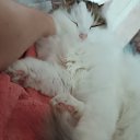 ���� �����, ��������� - ��������� 22 ������ 2025 � ������ ������ ��������