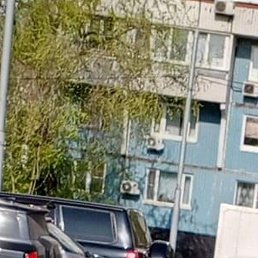 �������, ����, 43 ����