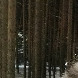 �����, ����, 43 ����