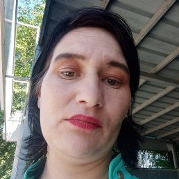 ������, �����������, 40 ���