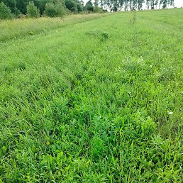 ���� ���������, ������ - ��������� 9 ������� 2025